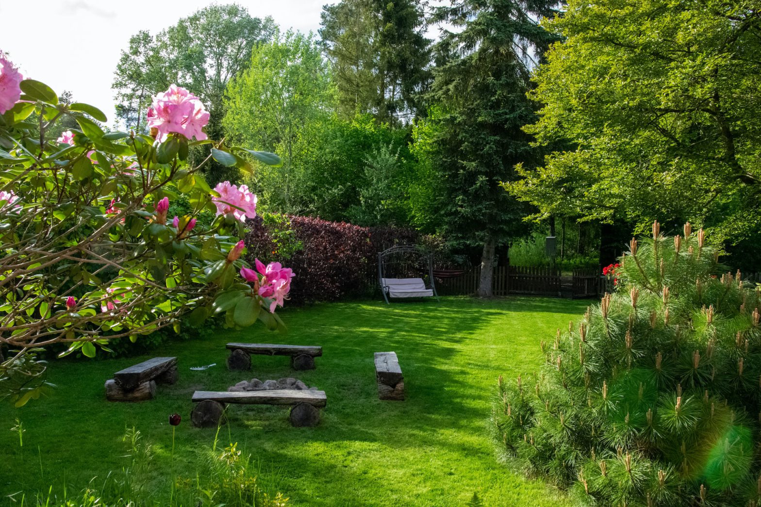 Pest-Free Backyard Oasis: Preventing Infestations for Houston Homeowners