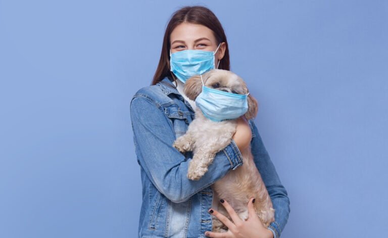 Keeping pets safe from rat encounters at home