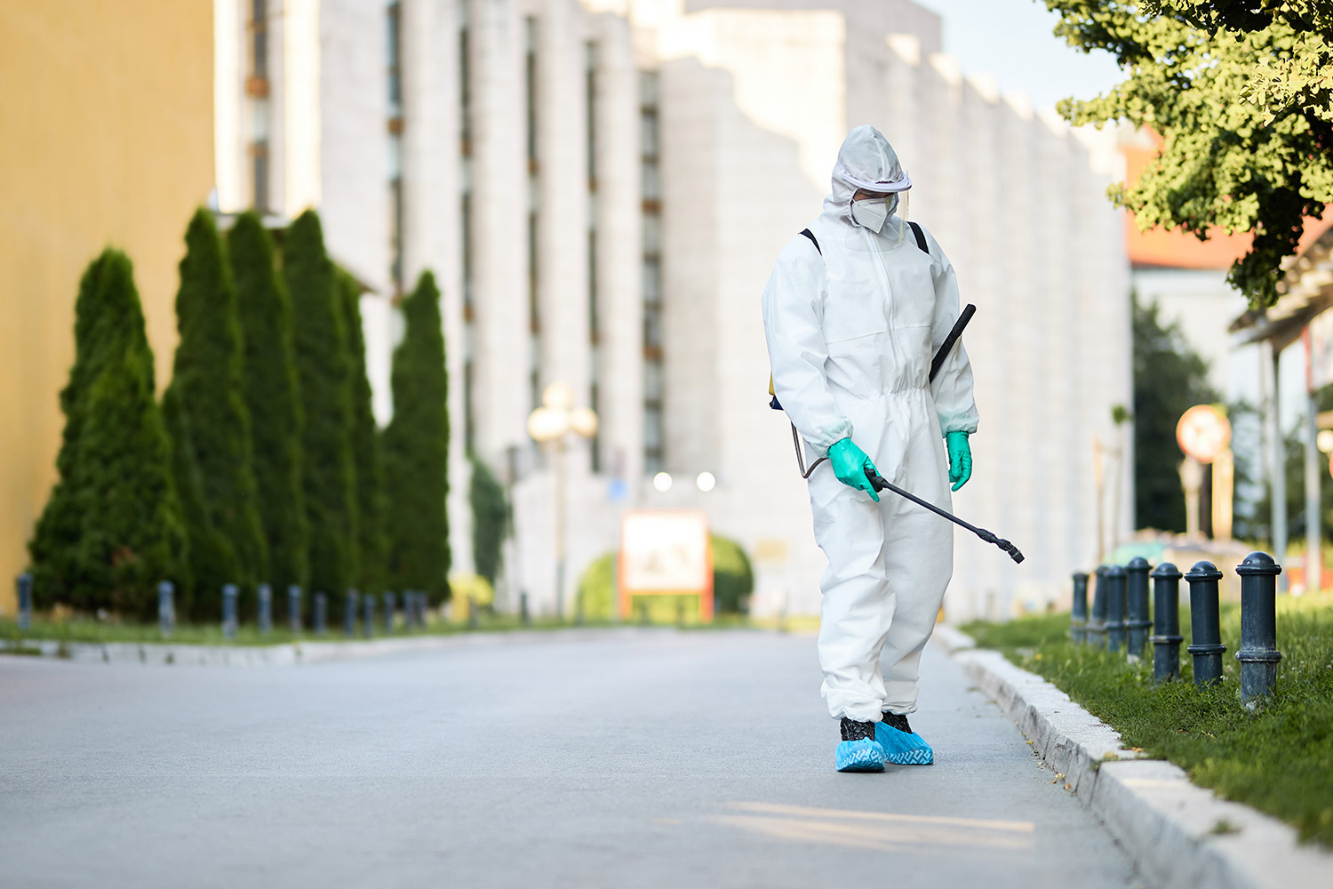 Why Rodent Control in Pearland, TX, Is Important for Local Homes