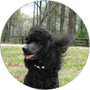 Linda Rhodes profile picture